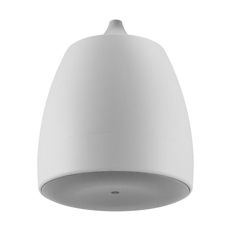 Pendant speaker with 8" (LF) w
