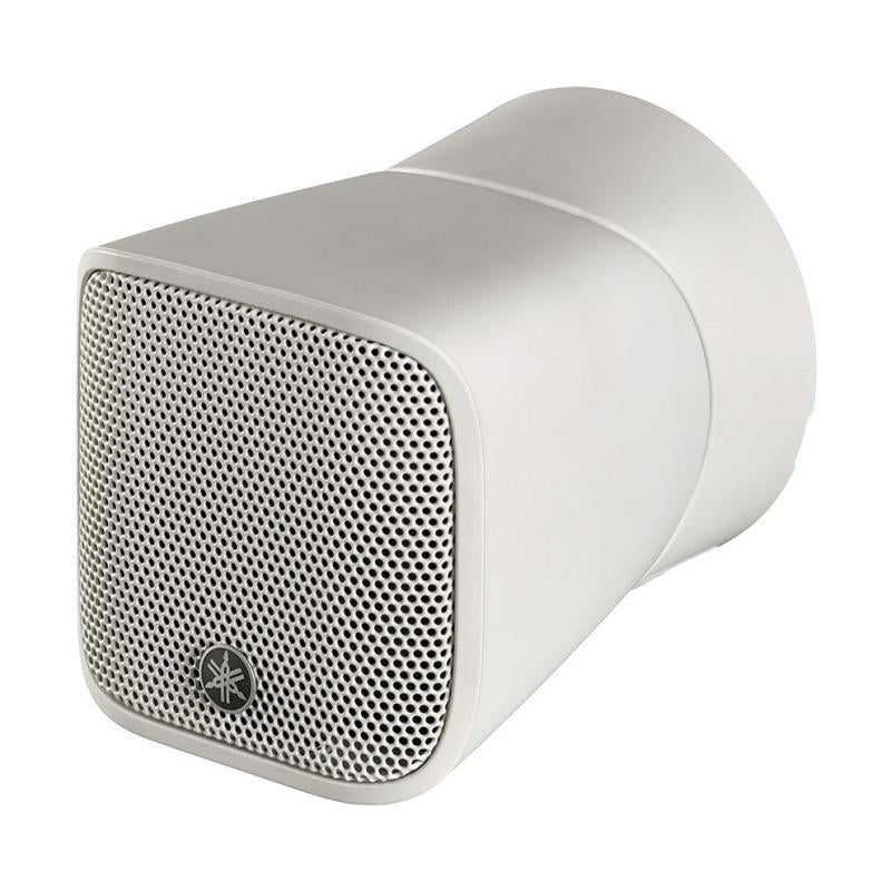 1" Full Range Surface Mount Sp