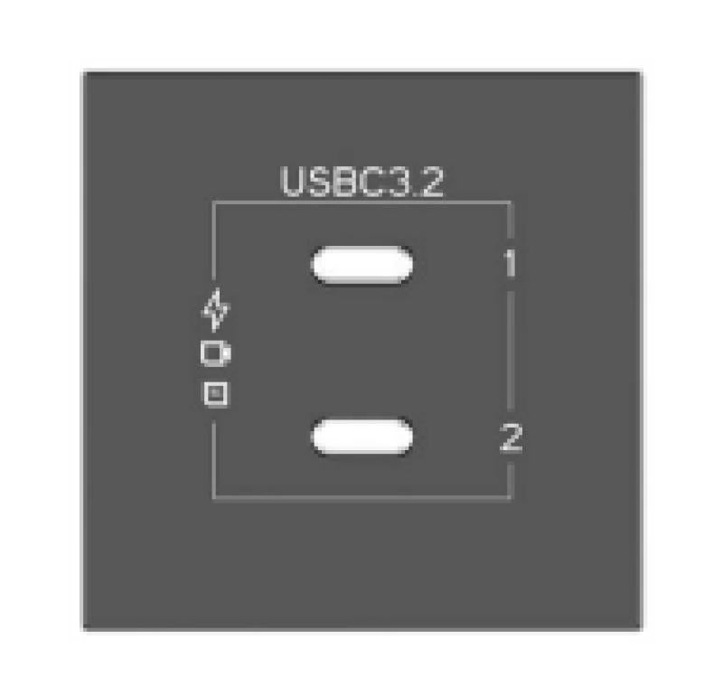 Black passive module with 2 US