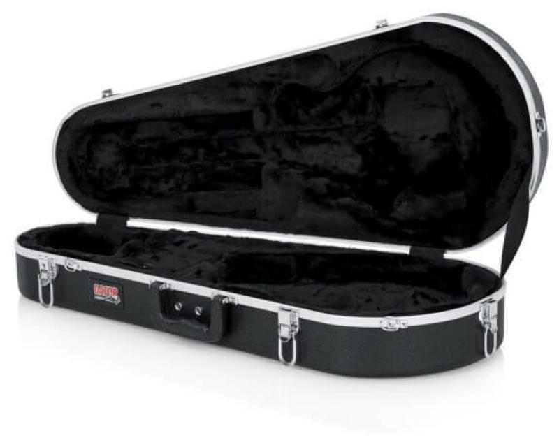 Molded Case for Mandolins
