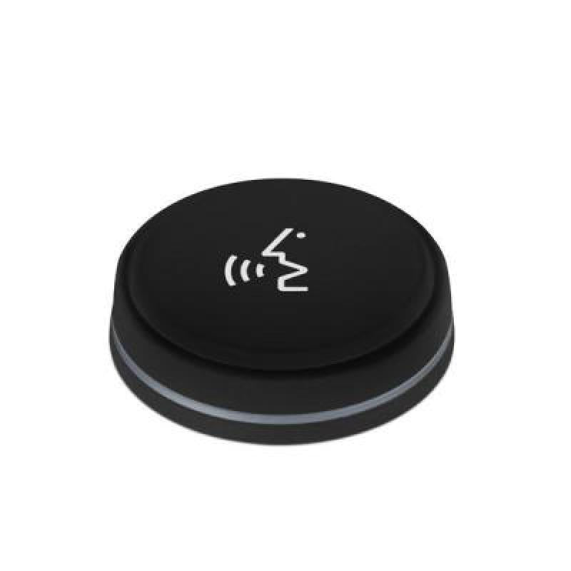 Microphone activation button (