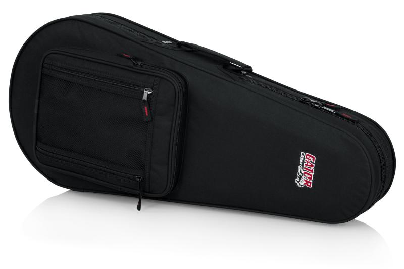 Case for Mandolins