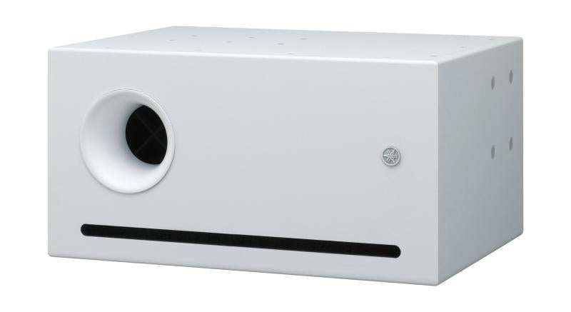 10" Surface Mount Subwoofer 70