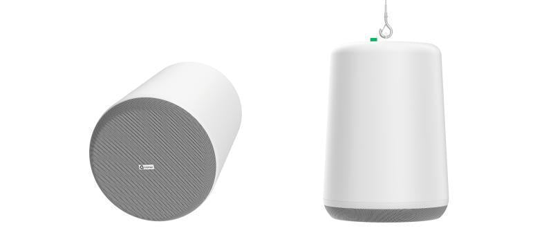 8", 2-way, passive pendant spe
