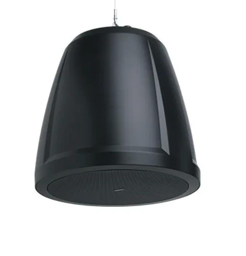 6.5" Dual voice-coil pendant s