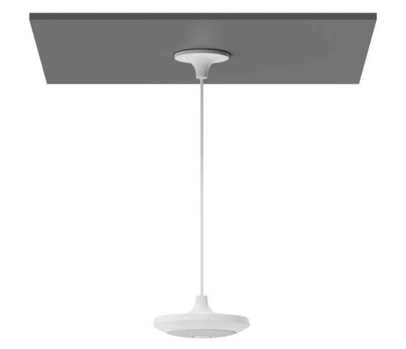 Ceiling pendant mount for Rall