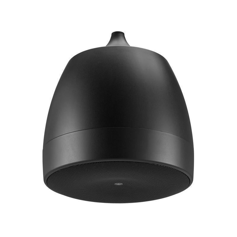 Pendant speaker with 6.5" (LF)