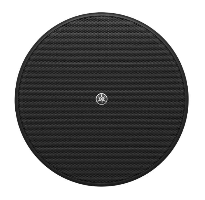 Full-range 4" driver; 80Hz-20k