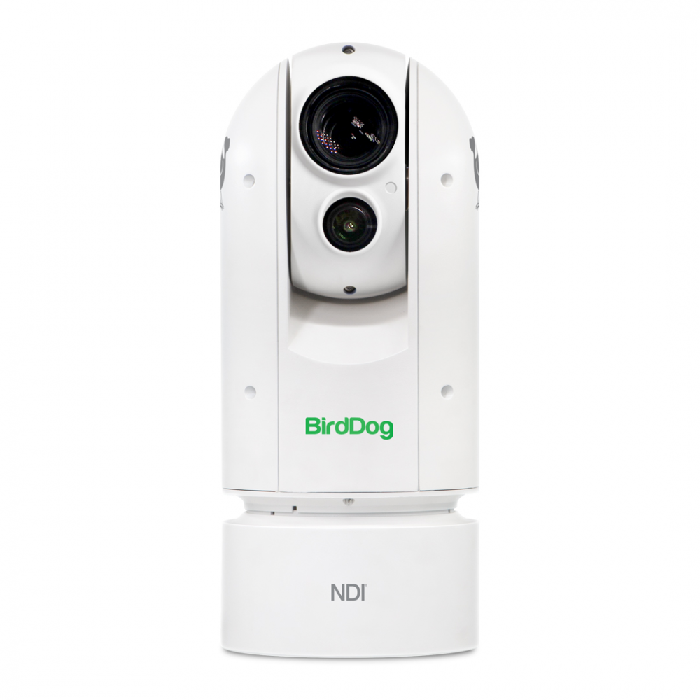 ProAVTechStore BirdDog A300 GEN2 Camera BirdDog ProAV - Accessory