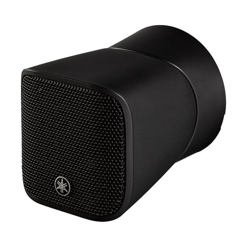 1" Full Range Surface Mount Sp