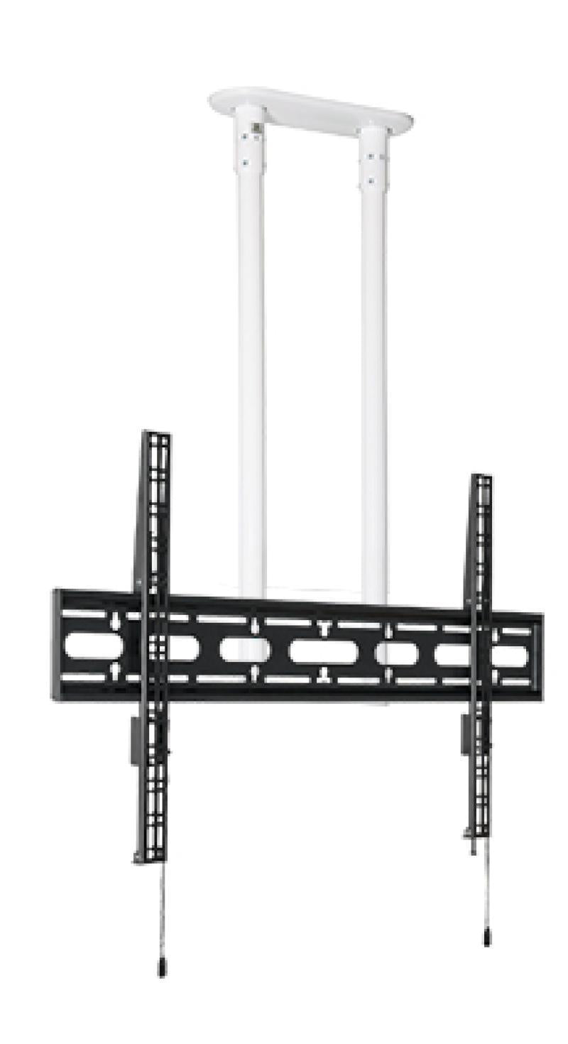 Extra-Large Flat Screen Ceilin