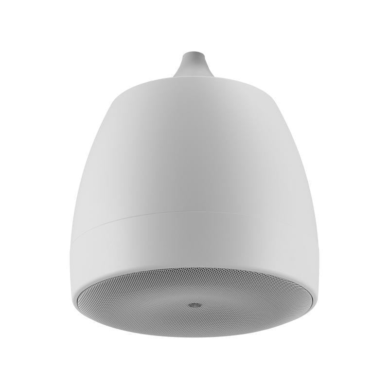 Pendant speaker with 6.5" (LF)