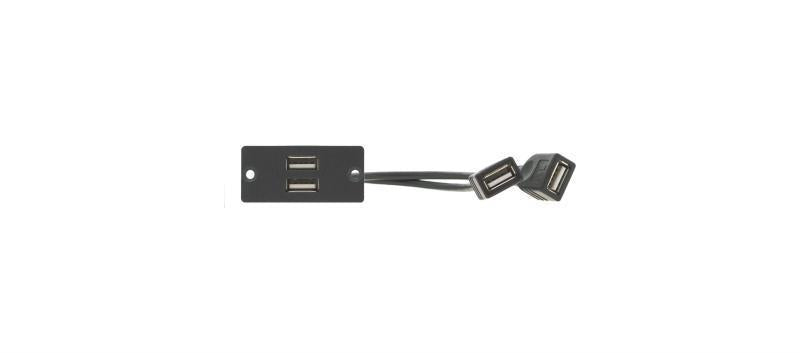 2 x USB 2.0 (A/A) Wall Plate I