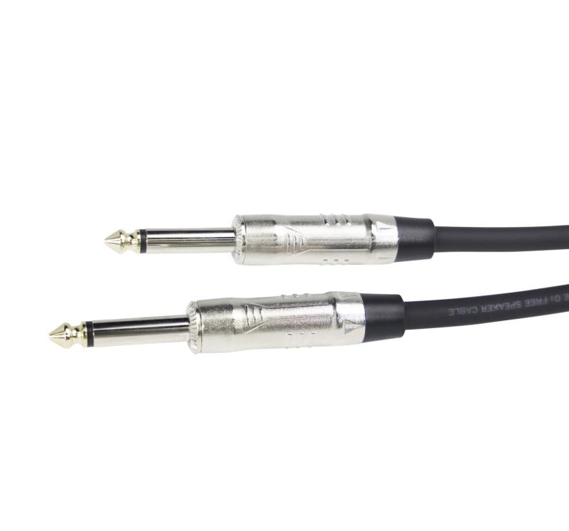 Backline Series 6 Foot TS Spea