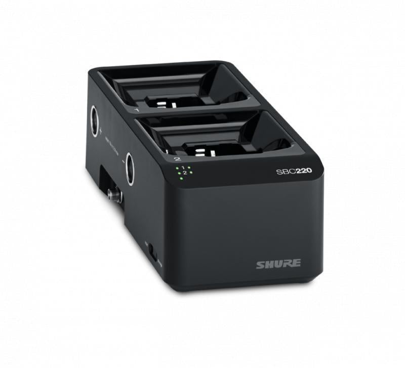 2 Bay Networked Docking Statio