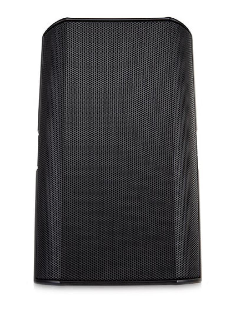 6.5" Two-way surface speaker,