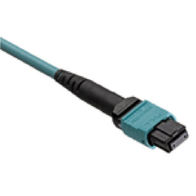 Expansion link Fiber cable 100