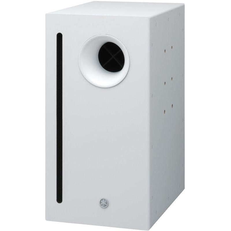 10" Surface Mount Subwoofer Lo
