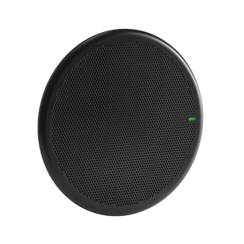 13" Round Ceiling Array, Black