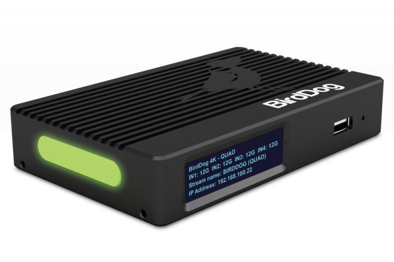 BirdDog 4K QUAD - Four channel