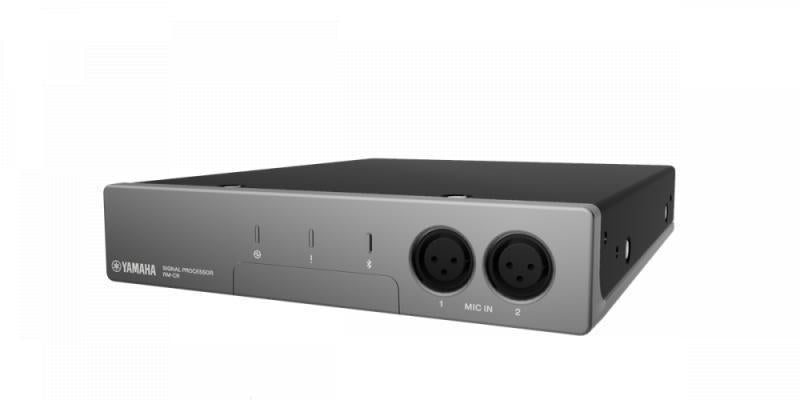 RM Audio Processor