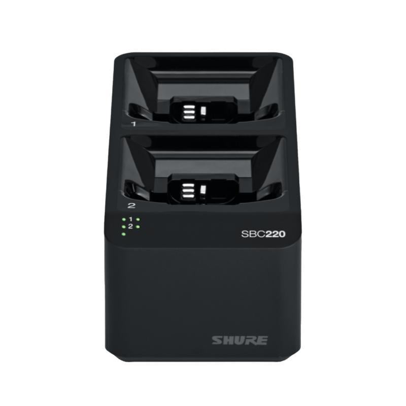 2 Bay Networked Docking Statio