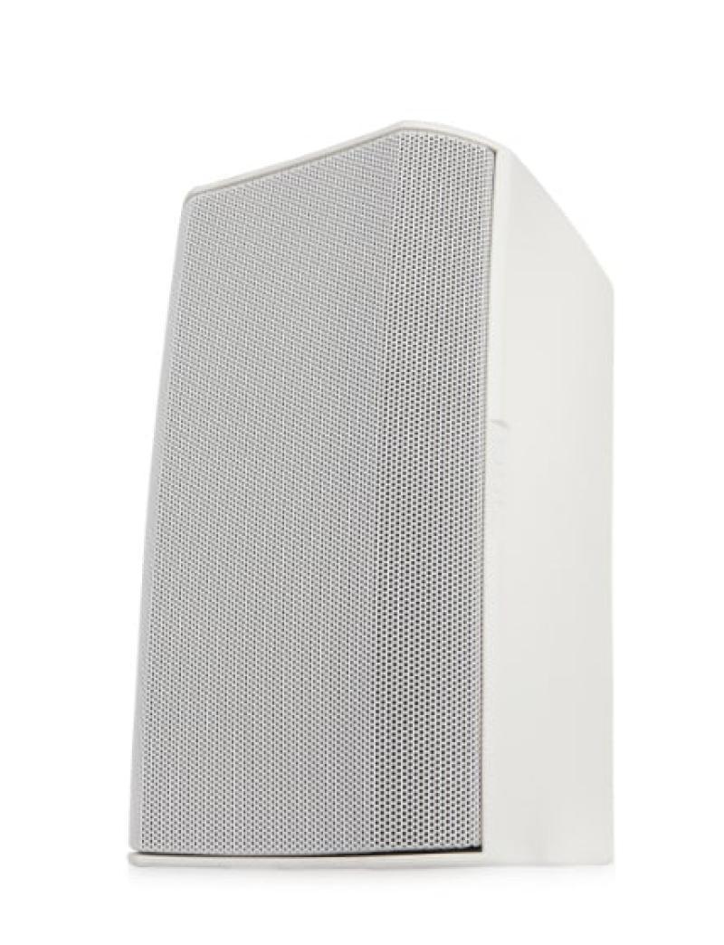 525" Two-way surface speaker,