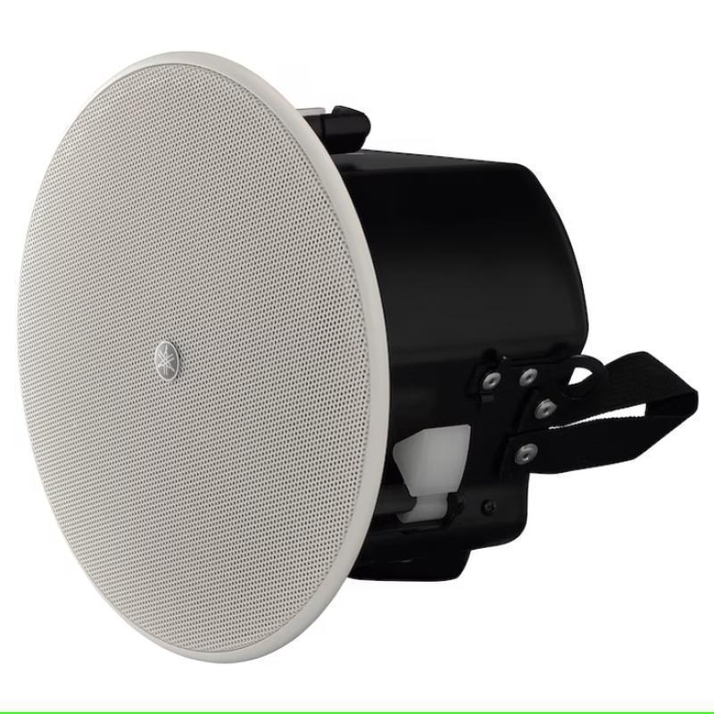 2.5" Full Range Dante/PoE Ceil