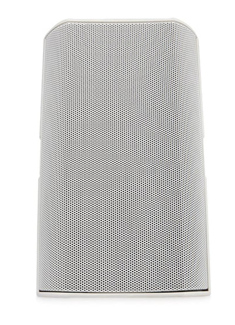 6.5" Two-way surface speaker,