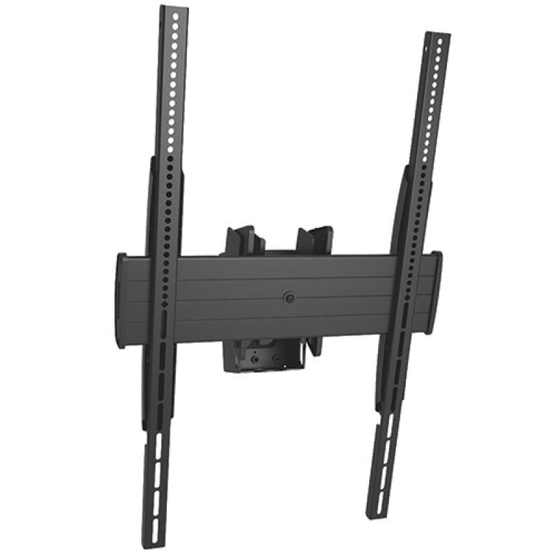 CEILING MOUNT SINGLE PORTRAIT