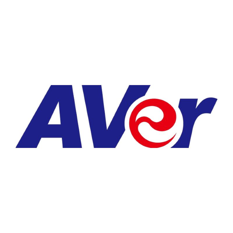 AVer AmpliWave Wall Mount Spea