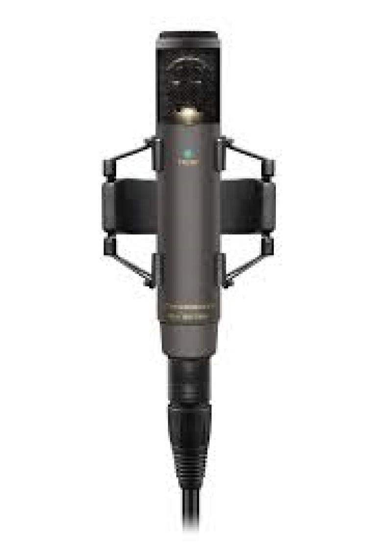 RF microphone (2x cardioid, co