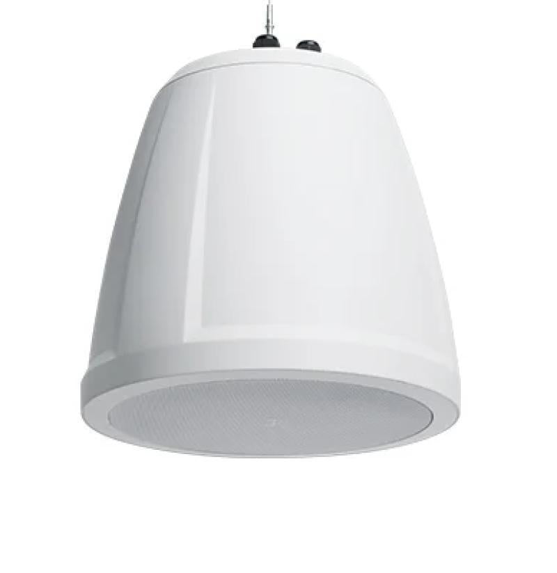 6.5" Dual voice-coil pendant s