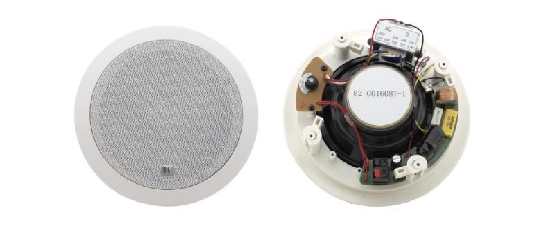 6.5" OB 2Way Ceiling Spkrs