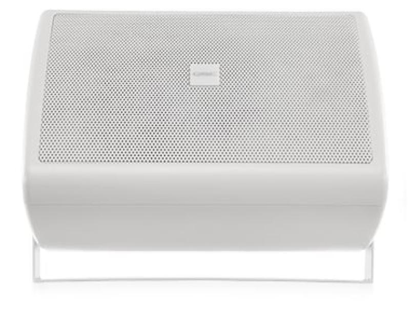 6.5" Two-way surface speaker,