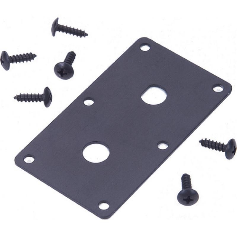 Dual Mounting Plate