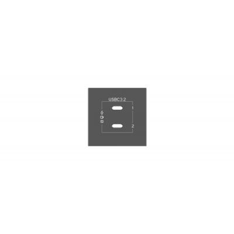 Passive black module with 2 RJ